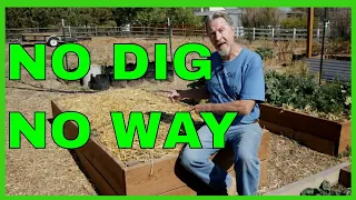 No-Dig Gardening (Why I DON'T Do It)