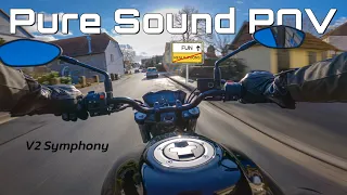 Countryside POV RIDE //  SUZUKI SV 650 [PURE SOUND] + 4K