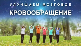 Улучшаем Мозговое Кровообращение