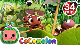 Row, Row, Row Your Boat (Ant Version) + More Nursery Rhymes & Kids Songs - CoComelon