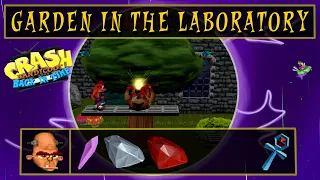 Crash Bandicoot Back In Time | #8 | Garden In The Laboratory |