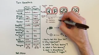 Twin Genetics and Types of Twins