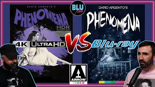PHENOMENA 4K UHD VS BLU-RAY | ARROW VS ARROW | 4K Kings Compare the Dario Argento 4K and the BLU-RAY