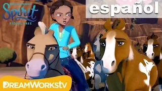 ¡Estampida! | SPIRIT CABALGANDO LIBRE @DreamWorksTVEspanol