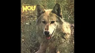 Darryl Way's Wolf __ Canis Lupus 1973 Full Album