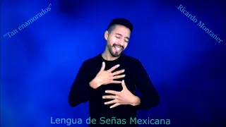 Tan enamorados | Lengua de Señas Mexicana LSM