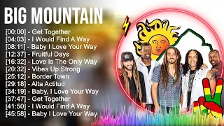 B i g M o u n t a i n Reggae Songs - Best Reggae Music Hits New Playlist 2023