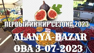 ПЕРВЫЙ ИНЖИР ЦЕНЫ НА РЫНКЕ В ОБА АЛАНЬЯ 3 ИЮЛЯ 2023 КЛУБНИКА ЧЕРЕШНЯ МАНГО АРБУЗ ДЫНЯ