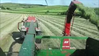 Cutting silage with JF 900 harvester