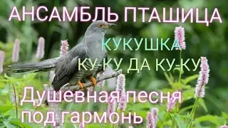 Ансамбль Пташица - Романс кукушка(ку-ку да ку-ку) 🎶 ХИТ🎶Слушать всем! 🎶