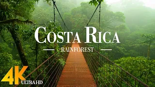 Costa Rica Rainforest 4K Ultra HD • Stunning Footage, Scenic Relaxation Film with Calming Music