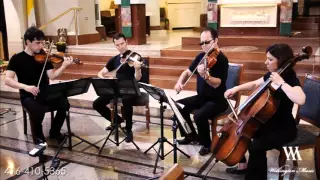 Bach Gounod  -Ave Maria ( string quartet cover) Wellington Music