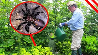 Most DANGEROUS Animals That Could Be Lurking In Your Backyard