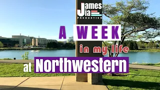 Northwestern University | A Week in My Life at NU