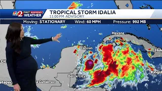 Tropical Storm Idalia: Storm surge, hurricane watches issued for parts of Florida