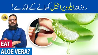 Hardin ALOE VERA GEL Khane Ke Fayde | Eating Aloe Vera Gel Everyday | Dr. Ibrahim