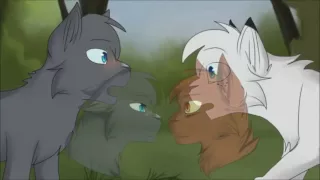 Bluestar and Snowfur