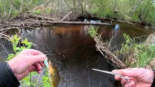 Поклёвки по большой воде