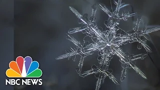 Snowflake Anatomy: Breathtaking Microscope Photos | NBC News