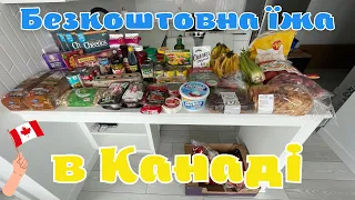 Безкоштовні продукти, що можна отримати в Фуд-Банку в Калгарі, Канада | Food bank Calgary