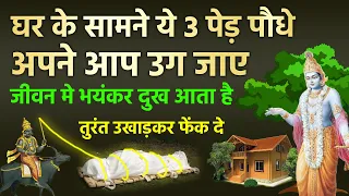 घर के सामने अपने आप उग जाए ये पेड़ तो तुरंत उखाड़कर फेंक दे दुर्भाग्य आता है | vastu tips Krishna