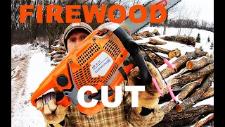 Husqvarna chainsaws DESTROY A WOOD PILE! - #583