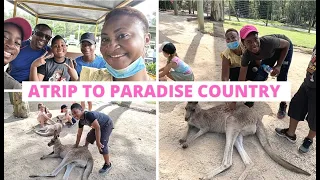 A Trip To Paradise Country|Gold Coast Australia|Petting Kangaroo|Wildlife| Funday.