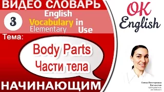 Тема 3 Parts of the Body - Части тела на английском.📕 Английский видео словарь для начинающих