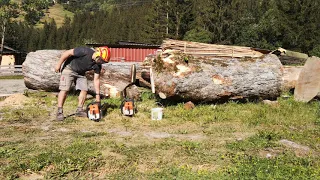Stihl ms 880 clean cut with 105cm and 150cm part 2