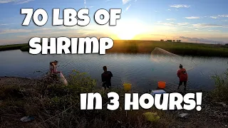 Louisiana Shrimping: Catching Shrimp with the BOYS!