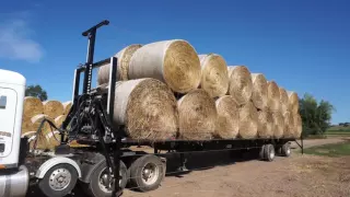 Excelerator-Hydraulic Bale Securement (Round Bales)