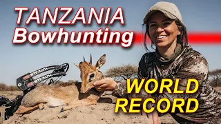 Sarah Bowhunts for World Record DikDik