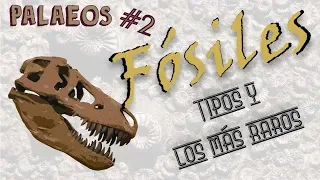 Palaeos programa 2: Tipos de fósiles + Paleodex - Dromornis