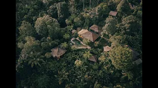 Be green, be happy. A message from our Co-founder | Sarinbuana Eco Lodge