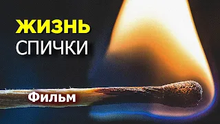 "Жизнь Спички" (короткометражное кино) 2021