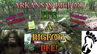 Arkansas Bigfoot: It's a BIGFOOT Life!