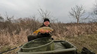 ФЛЭТ МЕТОД ФИДЕР В МАРТЕ.  УЧУСЬ ЛОВИТЬ КАРПА.