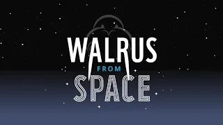 Help us find walrus from space | WWF