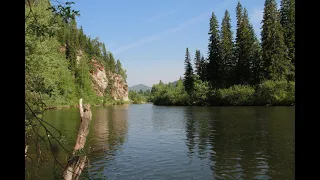 Таежная тишина. Река Мана, Красноярский край. 10 июня 2012 г. Дораб.