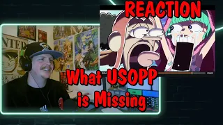 What USOPP is Missing | The Anatomy of One Piece REACTION