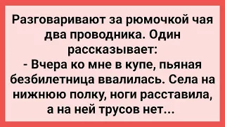 В Купе к Проводнику Ввалилась Безбилетница! Сборник Свежих Смешных Жизненных Анекдотов!