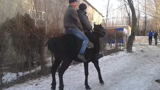 Кайран гана челпектин жигитери