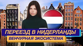 Венчурная экосистема Нидерландов