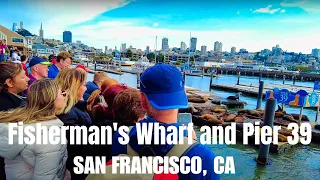 Explore Fisherman's Wharf and Pier 39 | San Francisco, CA USA | August 2023