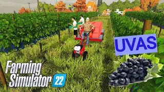 Día de COSECHA de UVAS 🍇 en las Membresias | MiembrosLPS | FARMING SIMULATOR 22 ARGENTINA