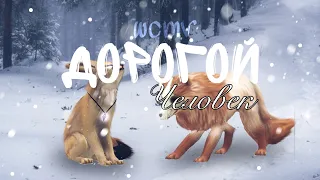 - wcmv - Дорогой человек -