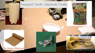 What substrate to use for your leopard gecko?