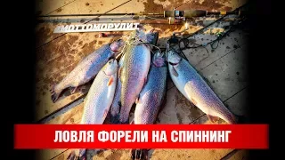 Ловля форели на спиннинг осенью на платнике.