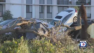 Cars tossed like toys in Palm Beach Gardens tornado