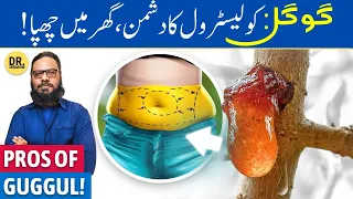 Guggul Ki Gond Ke Fayde/Istemal | Commiphora wightii's Gum | Dr. Ibrahim